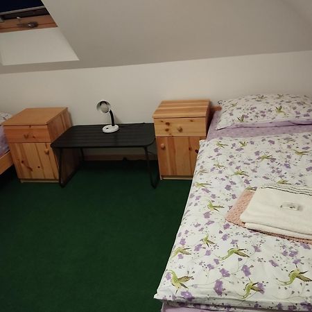 Ubytovani U Nadii Zelezny Brod Exterior foto